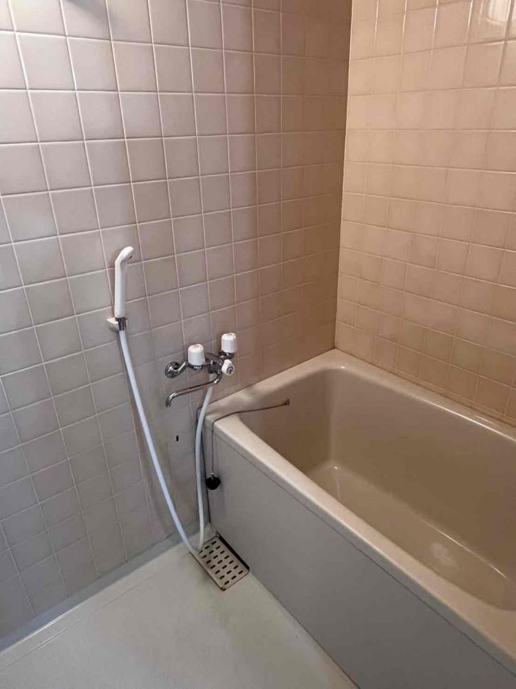 �y�o�X�z�@